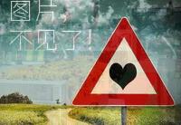 法律法规网