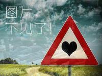 法律法规网