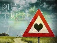 法律法规网